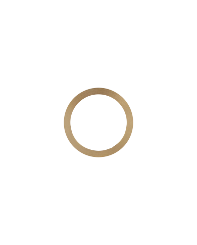 PIERŚCIEŃ REDUKCYJNY DO TARCZ 25,4MM NA 20,0MM GR.2,8MM FERRATI